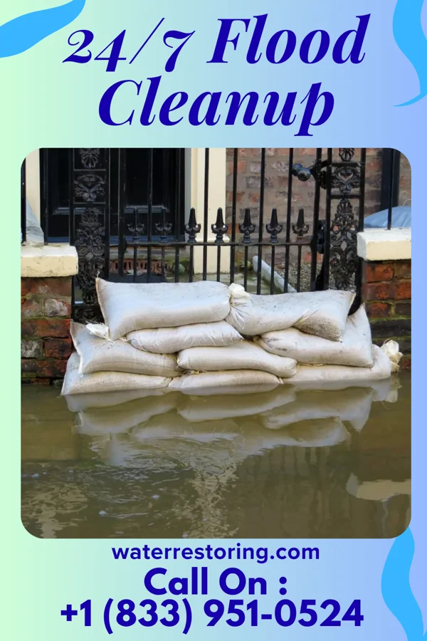 24/7 Flood Cleanup in Sciota, IL