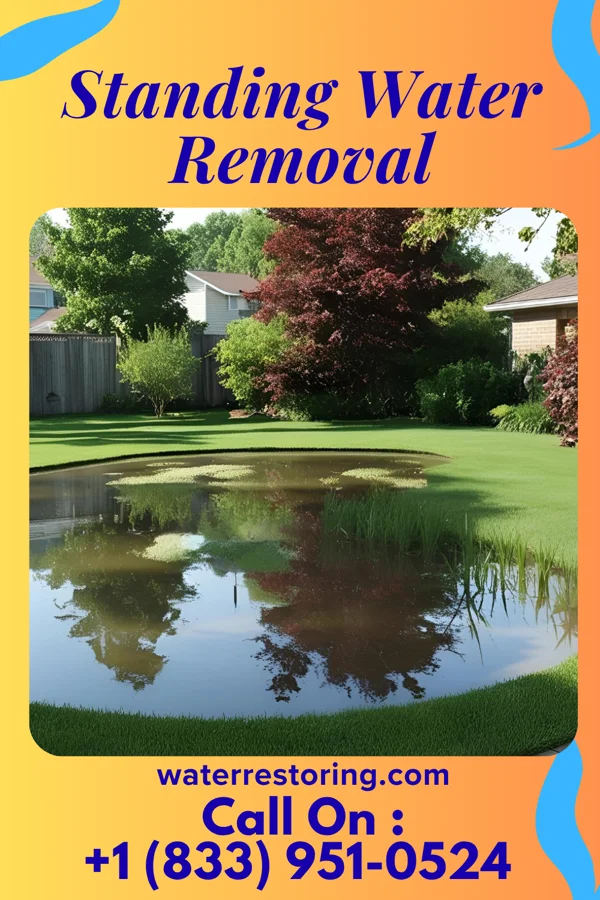 Standing Water Removal in Sciota, IL